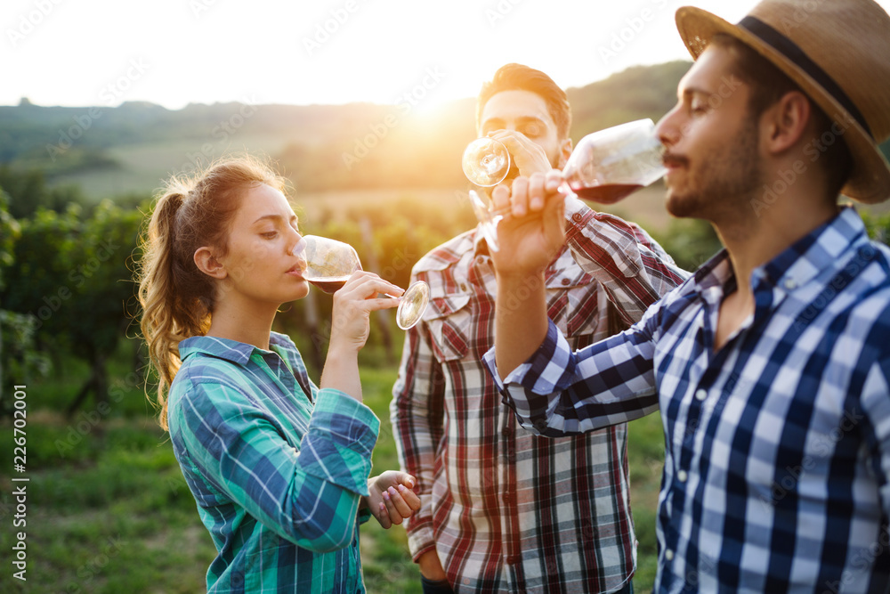 Tour delle Cantine di Formentera: Un Viaggio tra i Vini dell’Isola